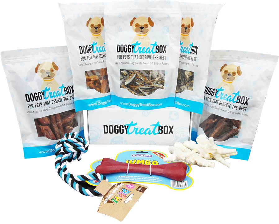 Regular Doggy Treat Box